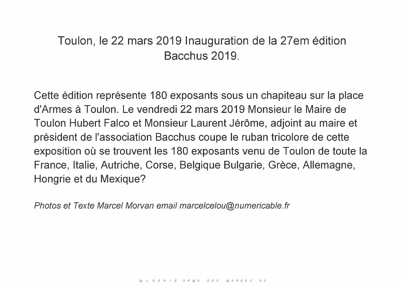 Toulon Bacchus 2019 (1).jpg